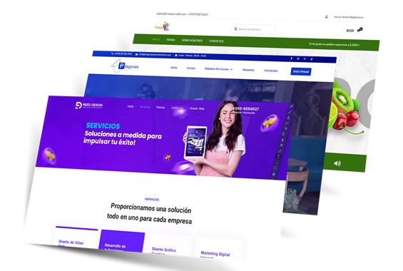 diseno de paginas web para emprendimientos